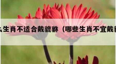什么生肖不适合戴貔貅（哪些生肖不宜戴貔貅）