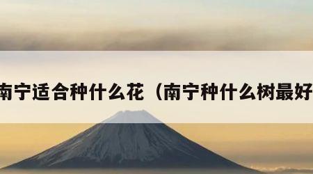 南宁适合种什么花（南宁种什么树最好）