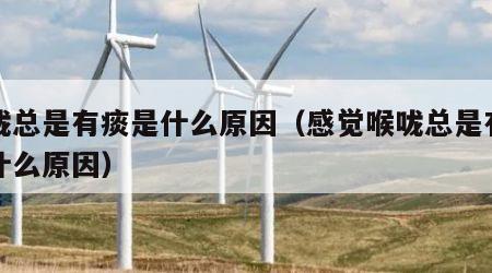 喉咙总是有痰是什么原因（感觉喉咙总是有痰是什么原因）