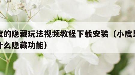 小度的隐藏玩法视频教程下载安装（小度里面有什么隐藏功能）