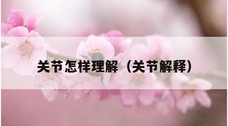 关节怎样理解（关节解释）