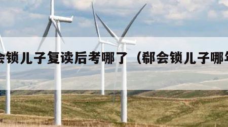 郗会锁儿子复读后考哪了（郗会锁儿子哪年高考）