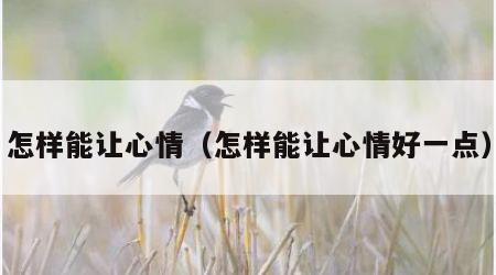 怎样能让心情（怎样能让心情好一点）