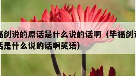 毕福剑说的原话是什么说的话啊（毕福剑说的原话是什么说的话啊英语）