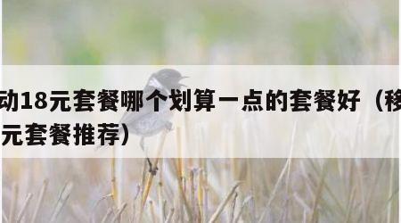 移动18元套餐哪个划算一点的套餐好（移动18元套餐推荐）
