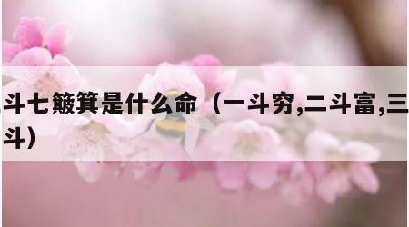 三斗七簸箕是什么命（一斗穷,二斗富,三斗四斗）