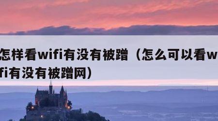 怎样看wifi有没有被蹭（怎么可以看wifi有没有被蹭网）