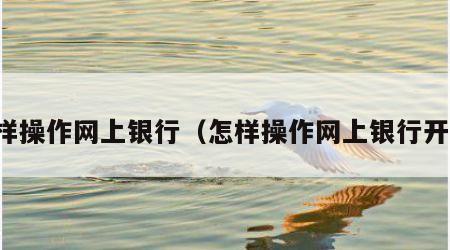 怎样操作网上银行（怎样操作网上银行开户）