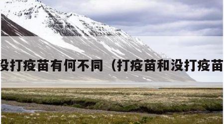 打没打疫苗有何不同（打疫苗和没打疫苗的）