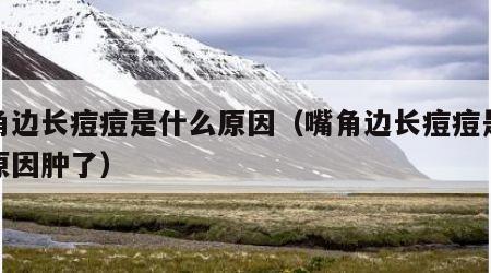 嘴角边长痘痘是什么原因（嘴角边长痘痘是什么原因肿了）