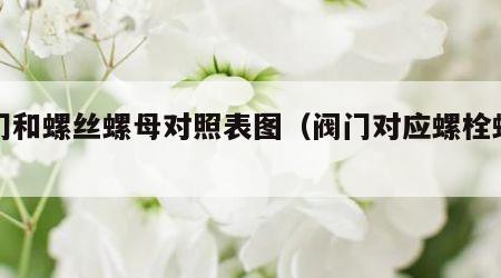 阀门和螺丝螺母对照表图（阀门对应螺栓螺帽）