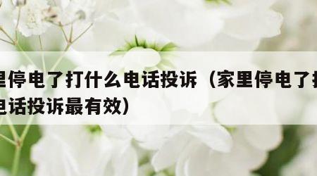 家里停电了打什么电话投诉（家里停电了打什么电话投诉最有效）