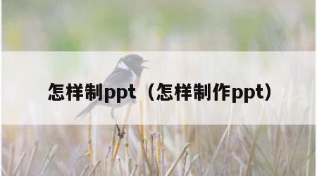 怎样制ppt（怎样制作ppt）