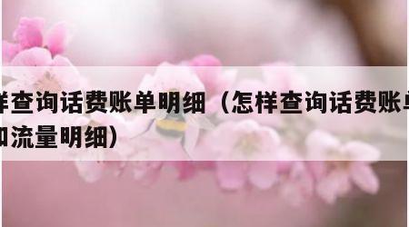 怎样查询话费账单明细（怎样查询话费账单明细和流量明细）