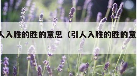引人入胜的胜的意思（引人入胜的胜的意思?）