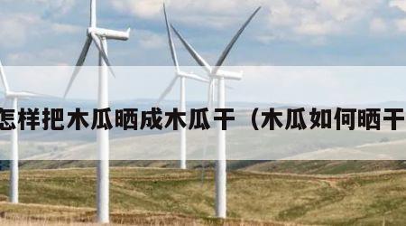 怎样把木瓜晒成木瓜干（木瓜如何晒干）