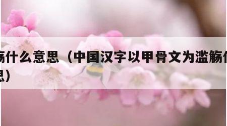 滥觞什么意思（中国汉字以甲骨文为滥觞什么意思）