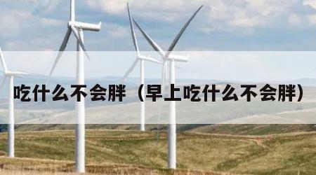 吃什么不会胖（早上吃什么不会胖）