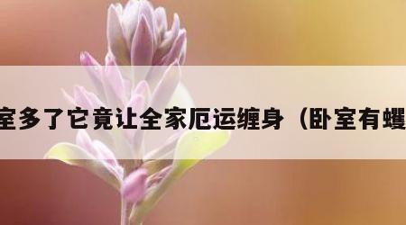 卧室多了它竟让全家厄运缠身（卧室有蠼螋）