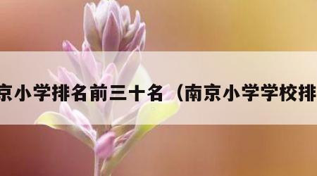 南京小学排名前三十名（南京小学学校排名）