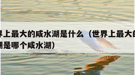 世界上最大的咸水湖是什么（世界上最大的咸水湖是哪个咸水湖）