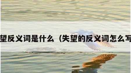失望反义词是什么（失望的反义词怎么写?）