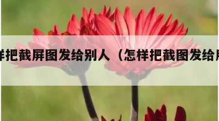 怎样把截屏图发给别人（怎样把截图发给朋友）