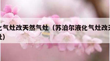 液化气灶改天然气灶（苏泊尔液化气灶改天然气灶）