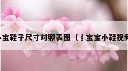 小宝鞋子尺寸对照表图（抅宝宝小鞋视频）