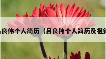 吕良伟个人简历（吕良伟个人简历及祖籍）