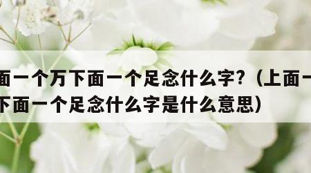 上面一个万下面一个足念什么字?（上面一个万下面一个足念什么字是什么意思）