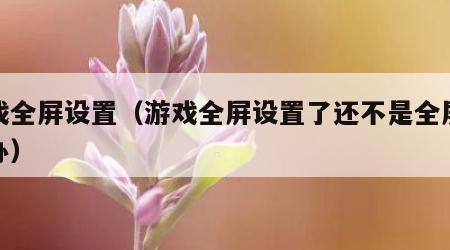 游戏全屏设置（游戏全屏设置了还不是全屏怎么办）
