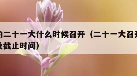 党的二十一大什么时候召开（二十一大召开时间及截止时间）