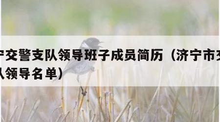 济宁交警支队领导班子成员简历（济宁市交警支队领导名单）