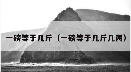 一磅等于几斤（一磅等于几斤几两）
