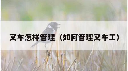 叉车怎样管理（如何管理叉车工）