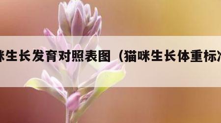 猫咪生长发育对照表图（猫咪生长体重标准表）