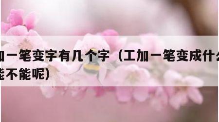 工加一笔变字有几个字（工加一笔变成什么字呢能不能呢）
