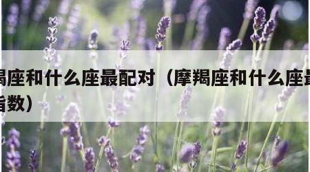 摩羯座和什么座最配对（摩羯座和什么座最配对指数）