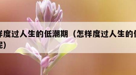 怎样度过人生的低潮期（怎样度过人生的低潮期呢）