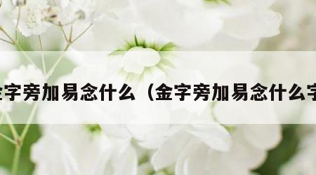 金字旁加易念什么（金字旁加易念什么字）