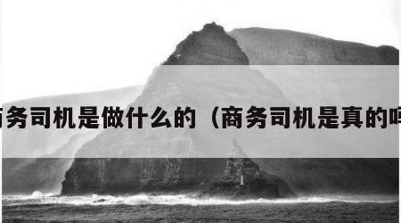 商务司机是做什么的（商务司机是真的吗）