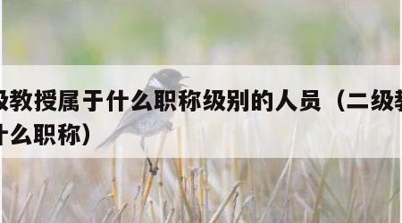 二级教授属于什么职称级别的人员（二级教授是什么职称）