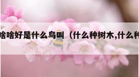 种啥啥好是什么鸟叫（什么种树木,什么种鸟）