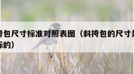 斜挎包尺寸标准对照表图（斜挎包的尺寸是怎么标的）