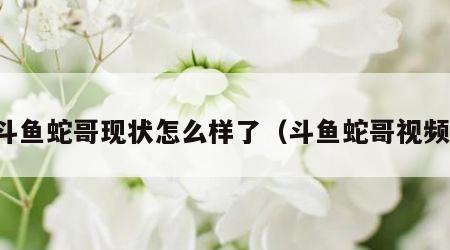 斗鱼蛇哥现状怎么样了（斗鱼蛇哥视频）