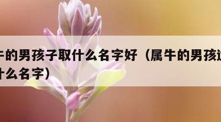 属牛的男孩子取什么名字好（属牛的男孩适合起什么名字）