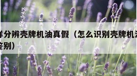 怎样分辨壳牌机油真假（怎么识别壳牌机油真假鉴别）