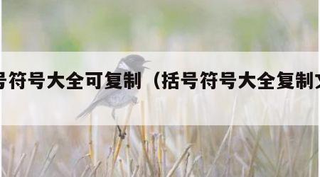 括号符号大全可复制（括号符号大全复制文件）