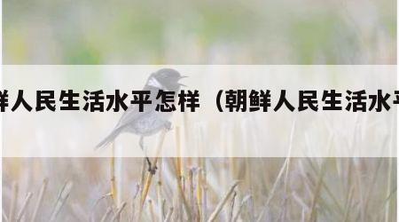 朝鲜人民生活水平怎样（朝鲜人民生活水平报告）